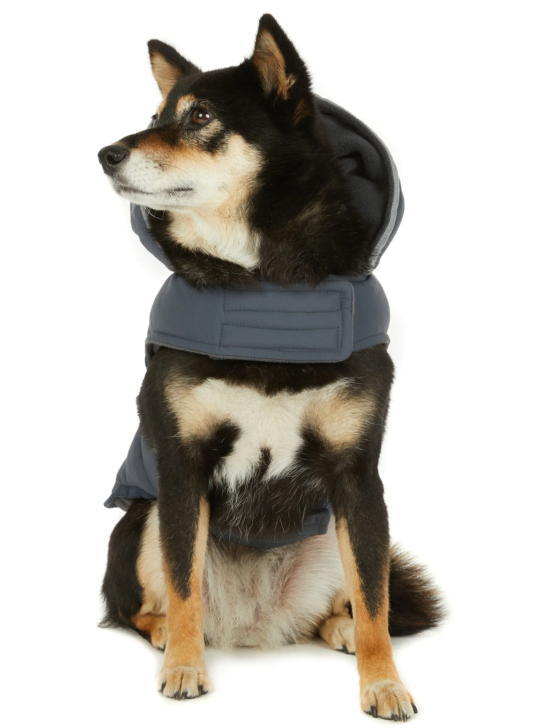 Denver Easy Fit Jacket for Dogs