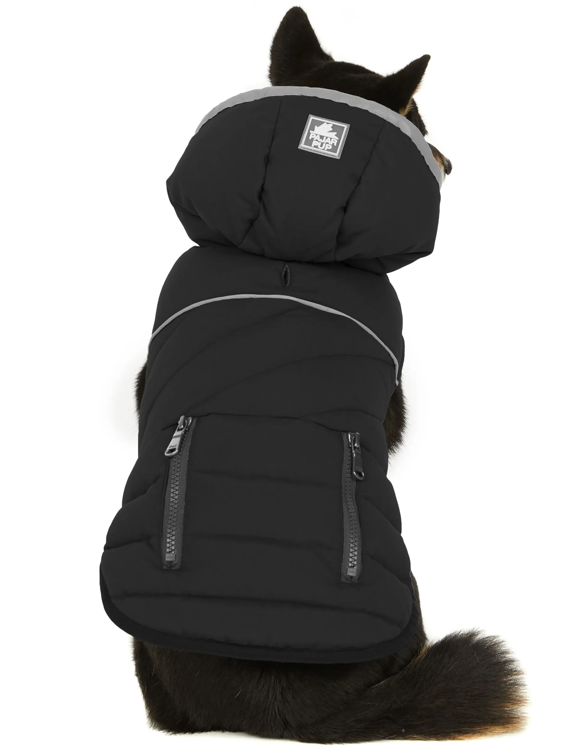 Denver Easy Fit Jacket for Dogs