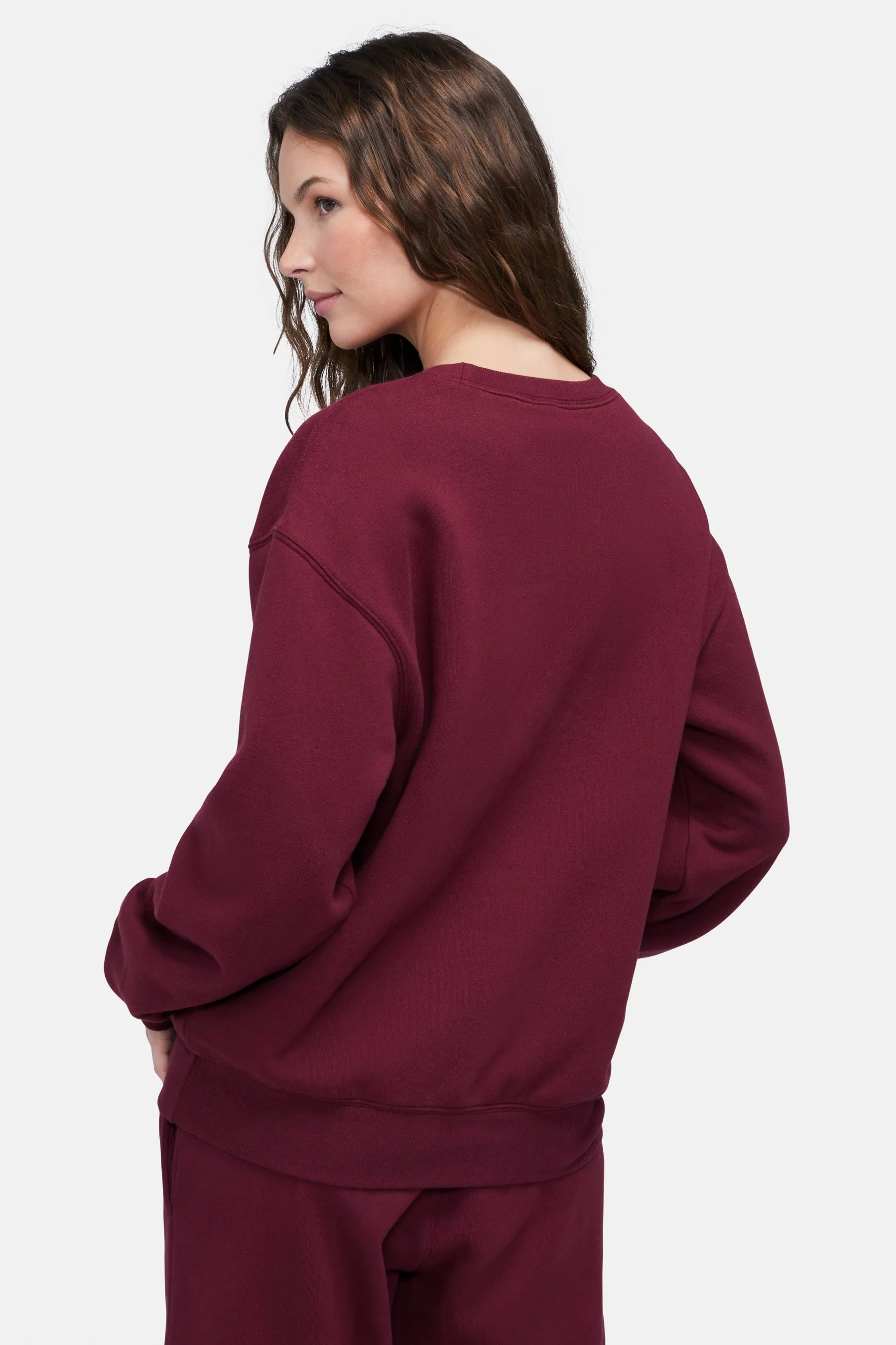 Hotel Wildfox Cody Sweatshirt | Chocolate Truffle