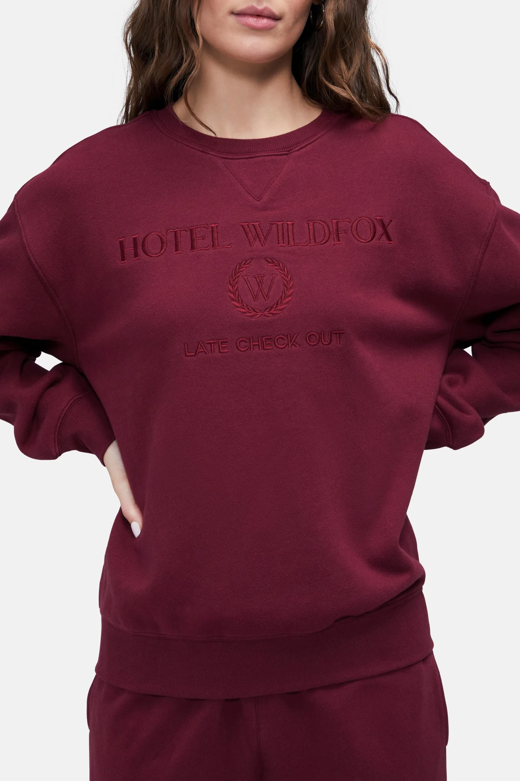 Hotel Wildfox Cody Sweatshirt | Chocolate Truffle