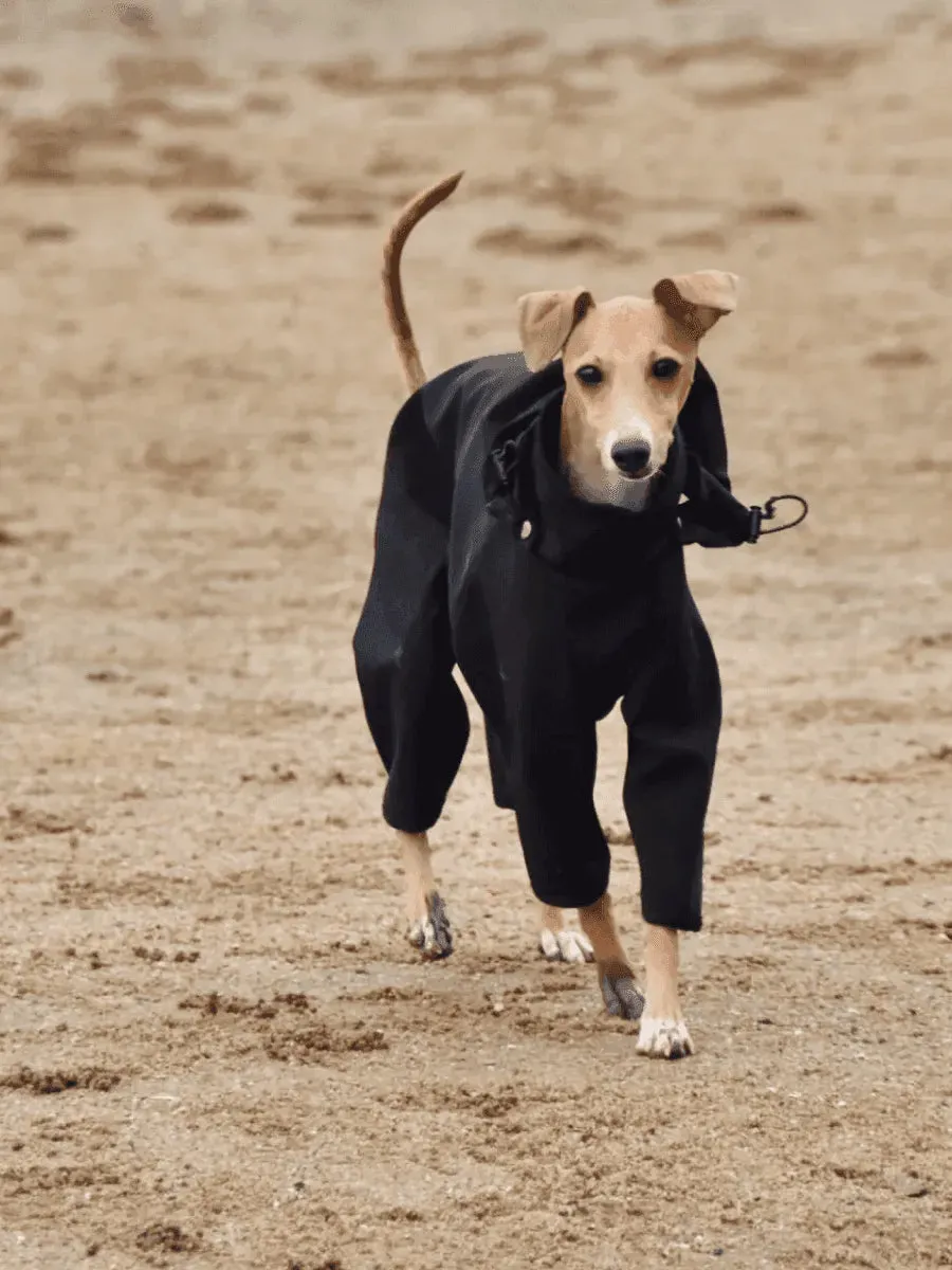 Outdoor 4-Leg Dog Raincoat with Detachable Hood