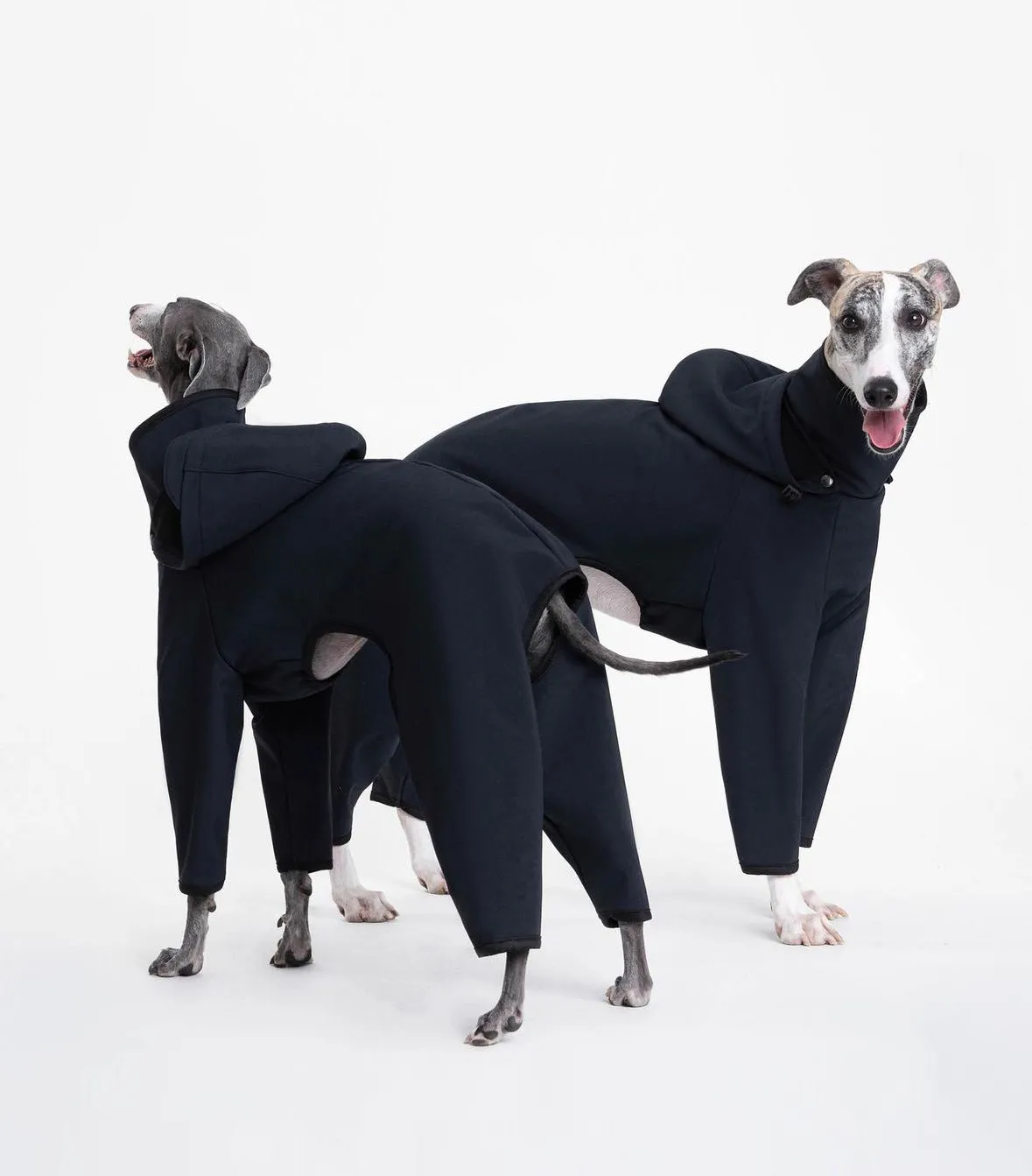 Outdoor 4-Leg Dog Raincoat with Detachable Hood