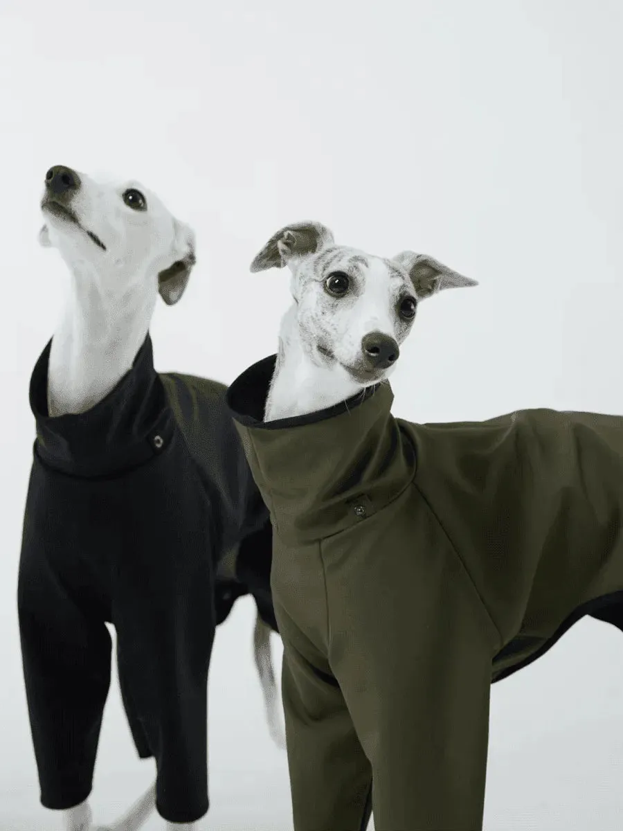 Outdoor 4-Leg Dog Raincoat with Detachable Hood