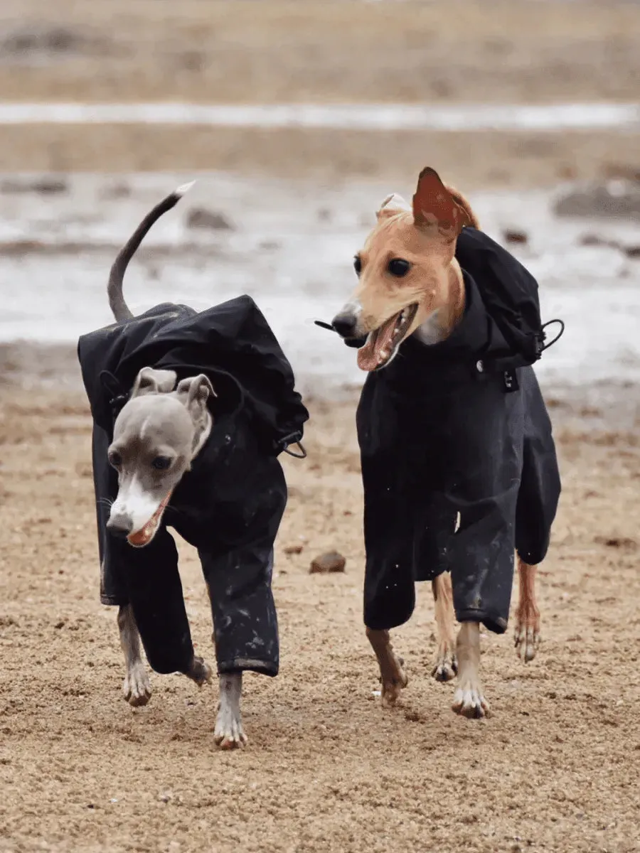 Outdoor 4-Leg Dog Raincoat with Detachable Hood