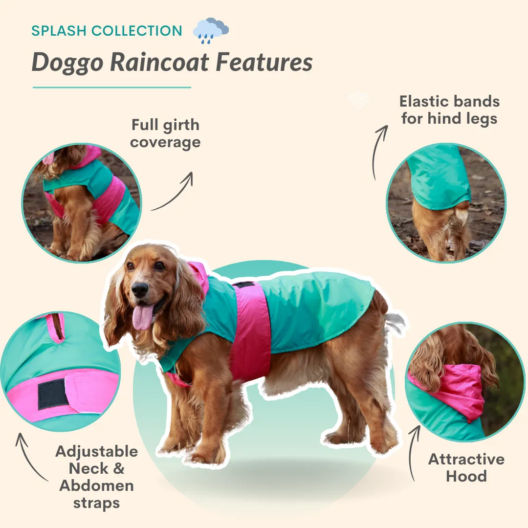 Splash Saver Pack of 2 Raincoats Puddle Pooch