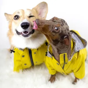 Stylish Waterproof Dog Jacket & Windbreaker